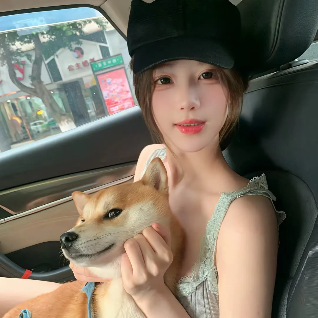 我私人的爱达荷
